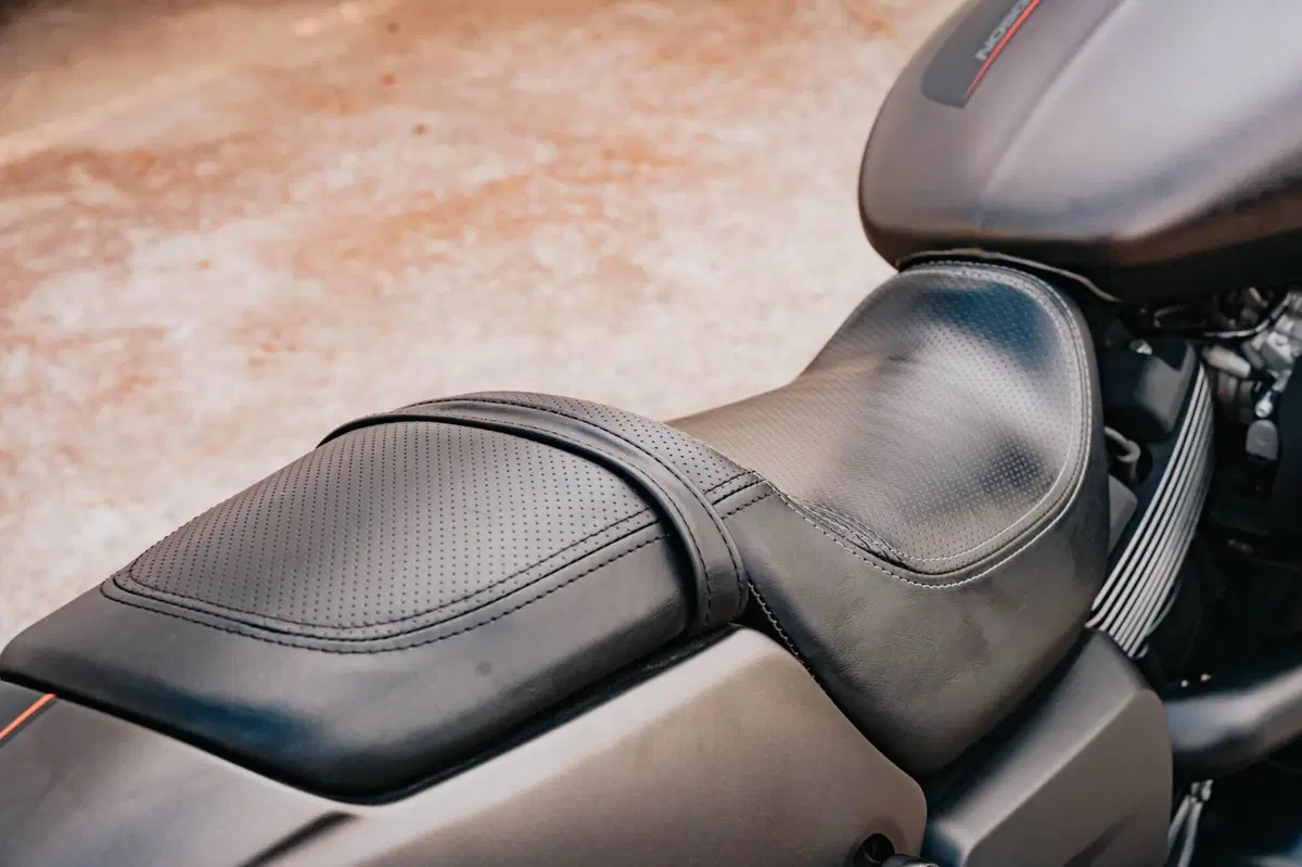 Harley-Davidson 883 Iron (2017 - 20) - XL 883N (4)