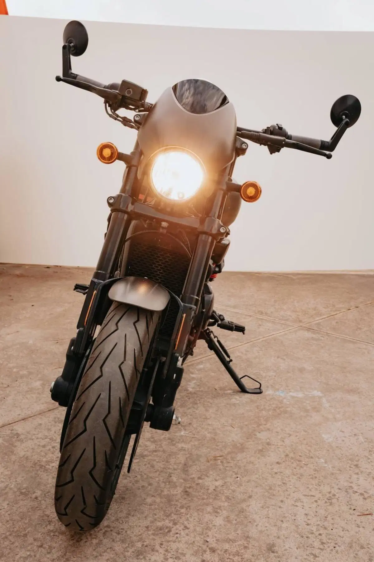 Harley-Davidson 883 Iron (2017 - 20) - XL 883N (9)