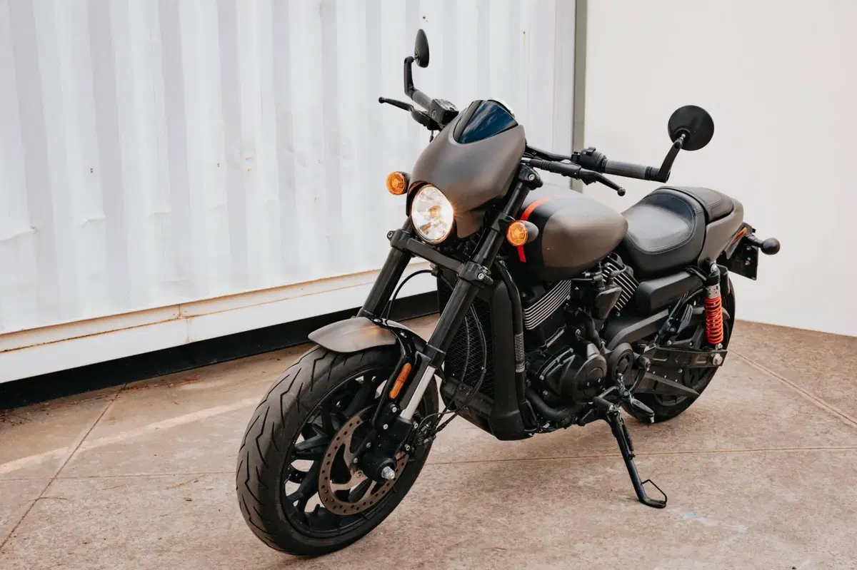 Harley-Davidson 883 Iron (2017 - 20) - XL 883N (10)