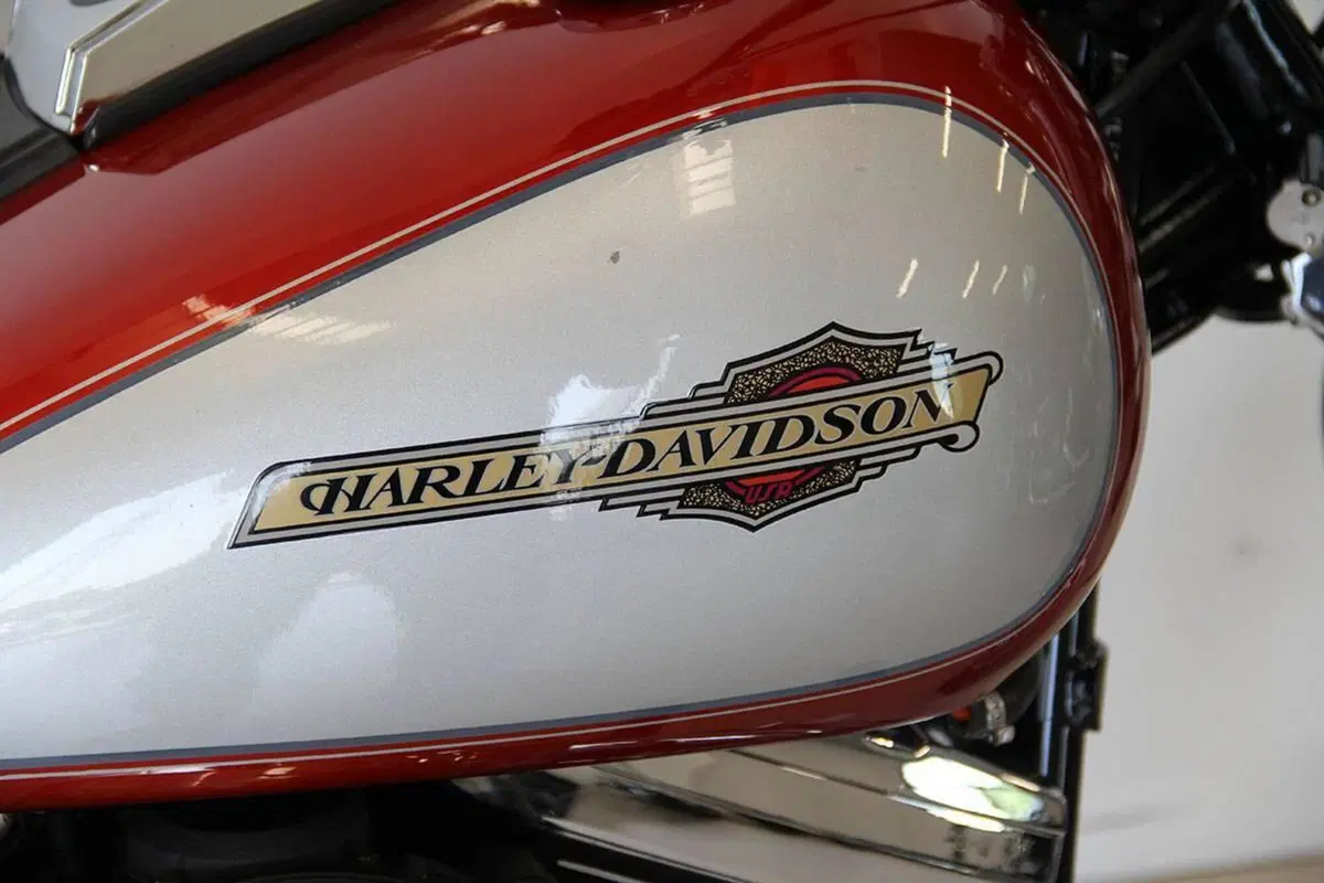 Harley-Davidson 1340 Custom (1989 - 98) (8)