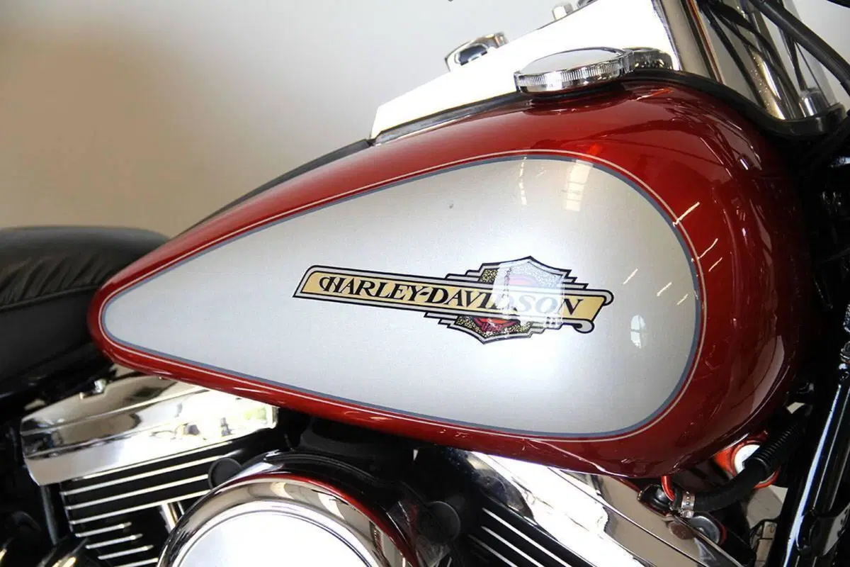 Harley-Davidson 1340 Custom (1989 - 98) (9)