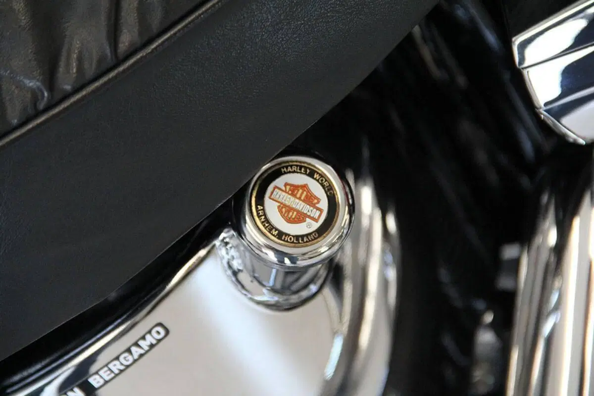 Harley-Davidson 1340 Custom (1989 - 98) (12)