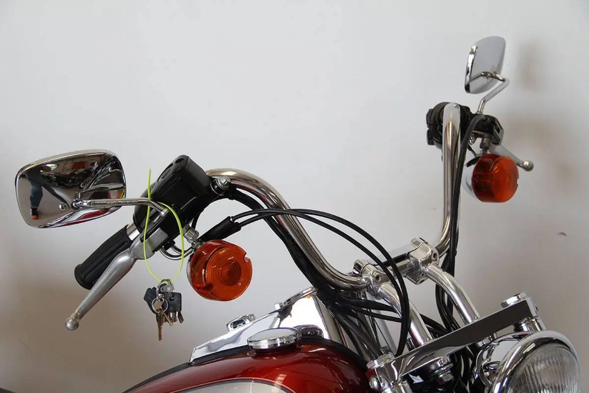 Harley-Davidson 1340 Custom (1989 - 98) (15)