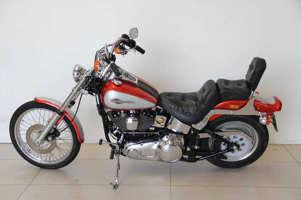Harley-Davidson 1340 Custom (1989 - 98) (16)