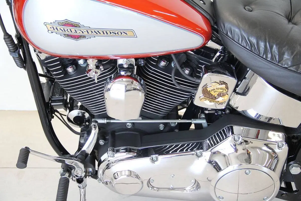 Harley-Davidson 1340 Custom (1989 - 98) (17)