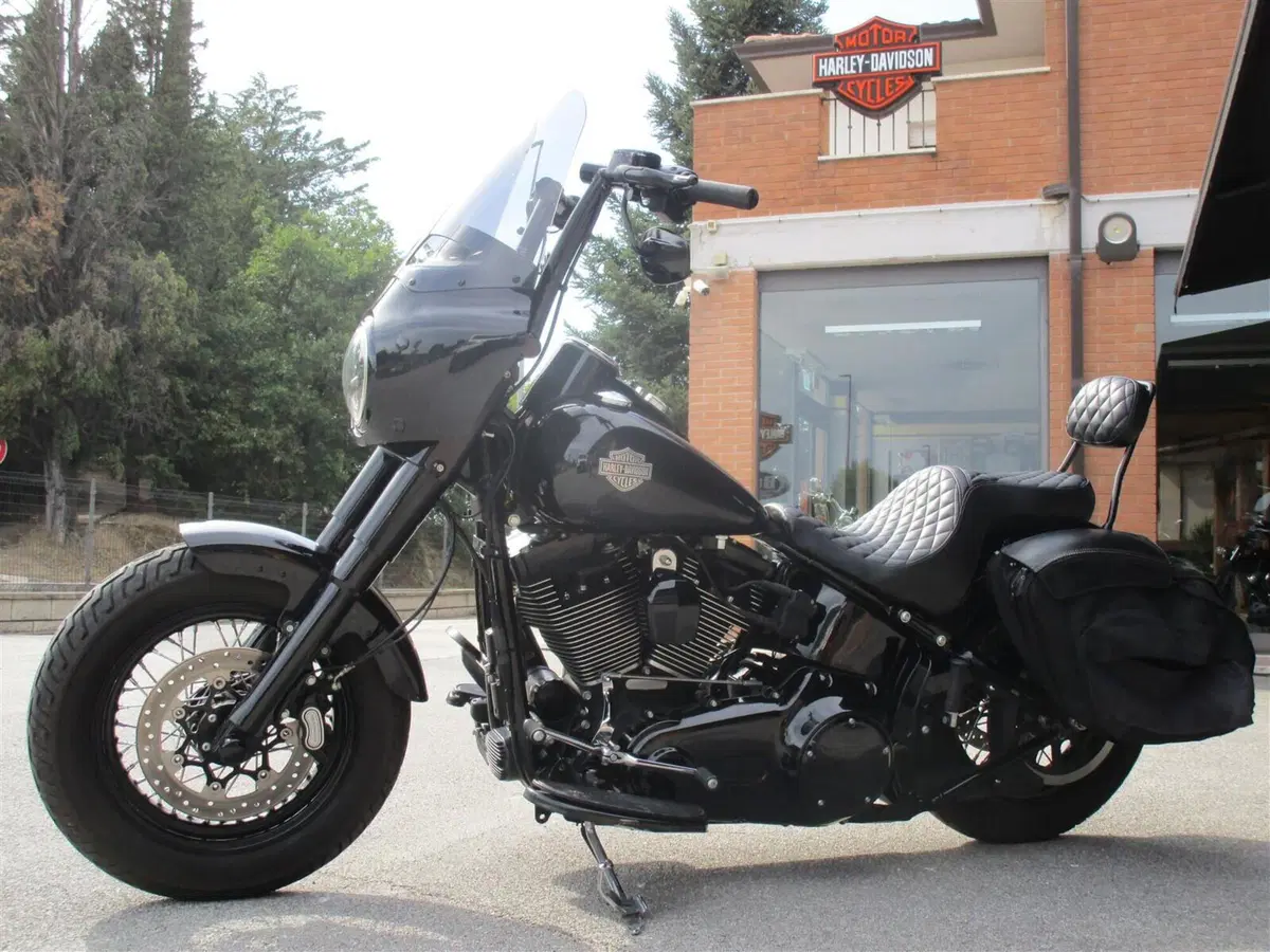 Harley-Davidson 1800 Slim S (2015 - 17) - FLS (3)