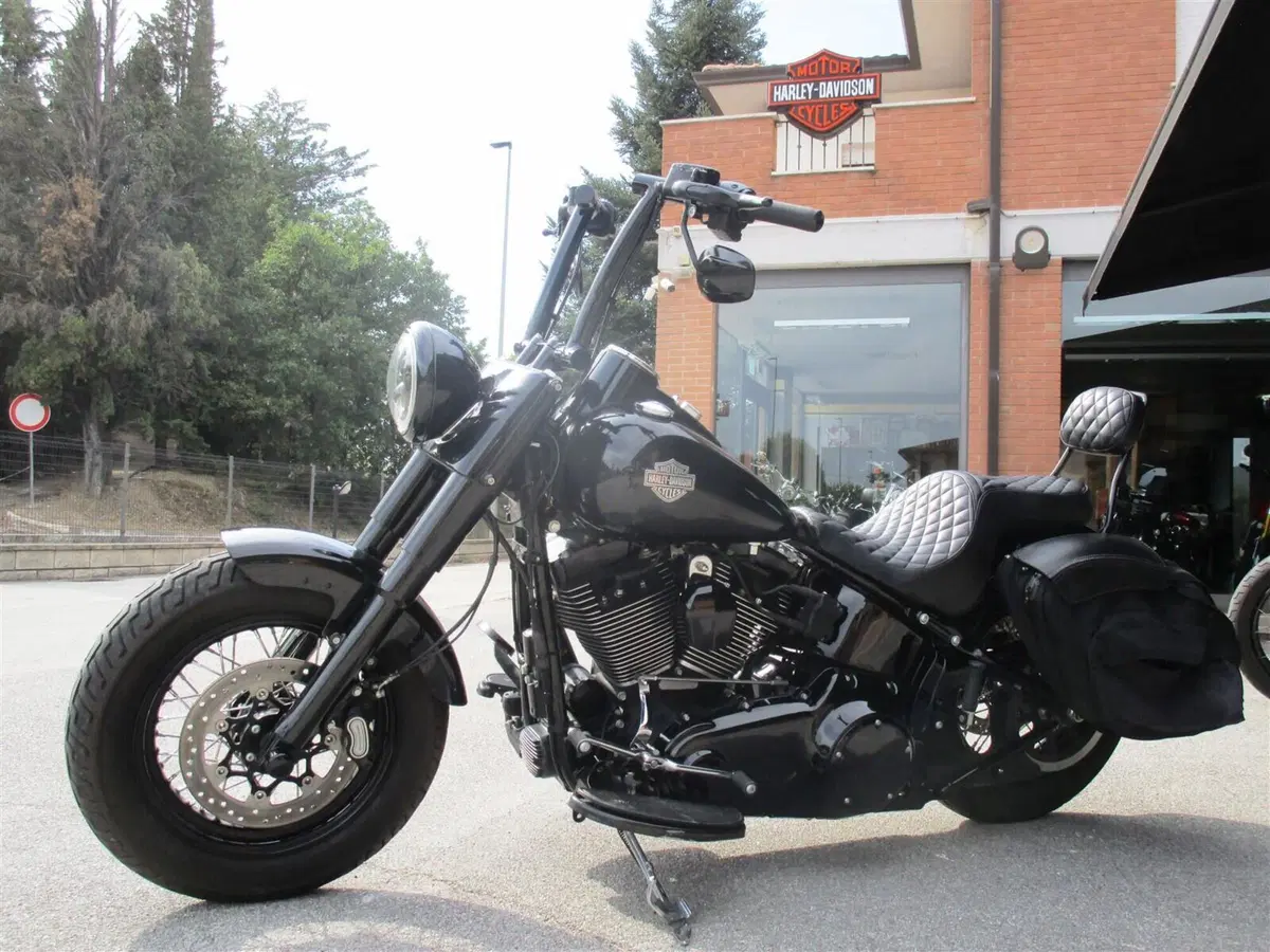Harley-Davidson 1800 Slim S (2015 - 17) - FLS (8)