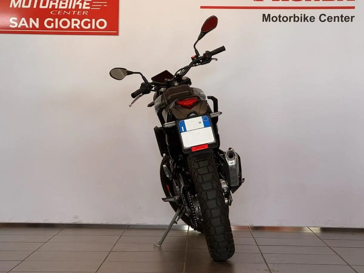Betamotor Alp X (2024 - 26) (4)