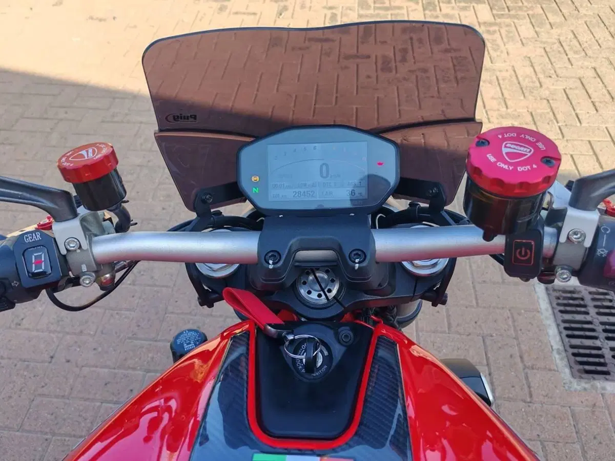 Ducati Monster 1200 (2014 - 16) (6)