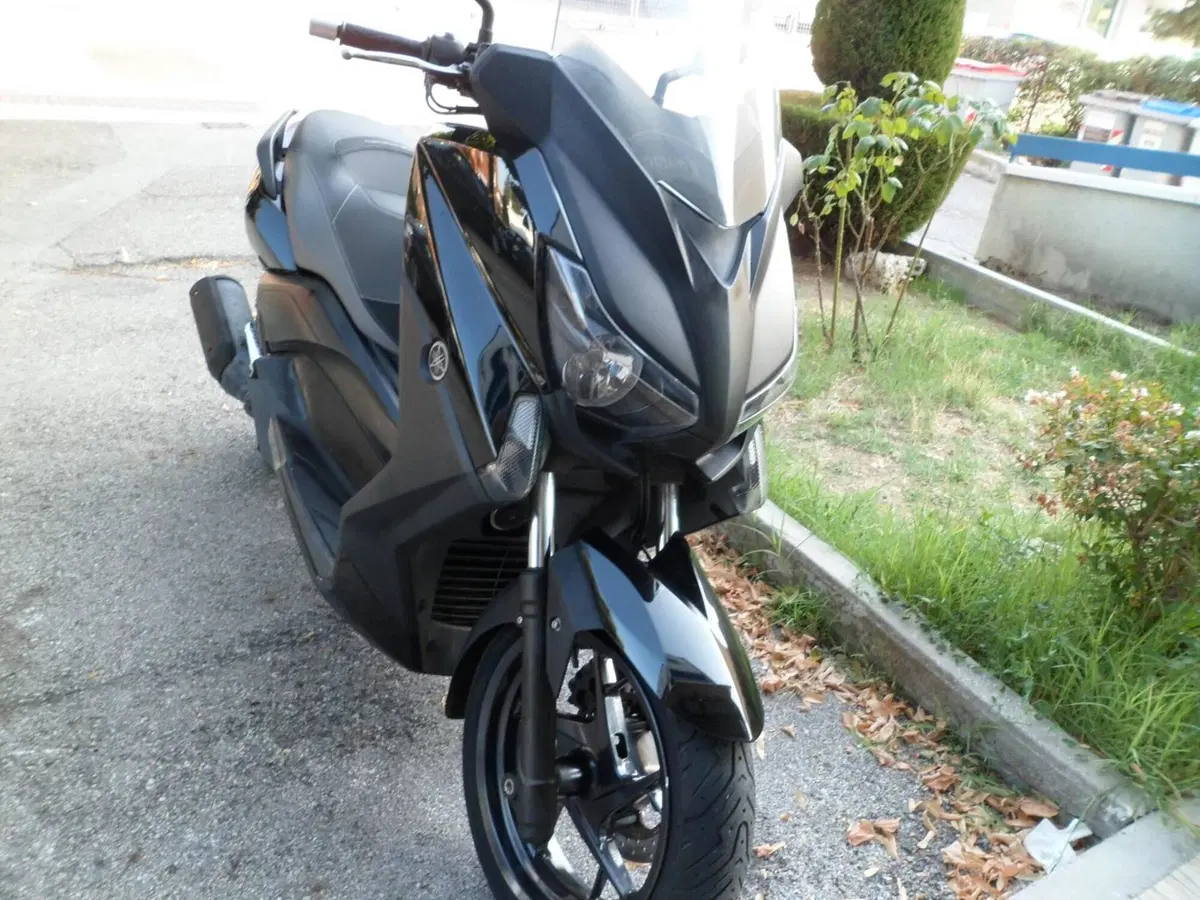 Yamaha X-Max 250 (2014 - 16) (2)