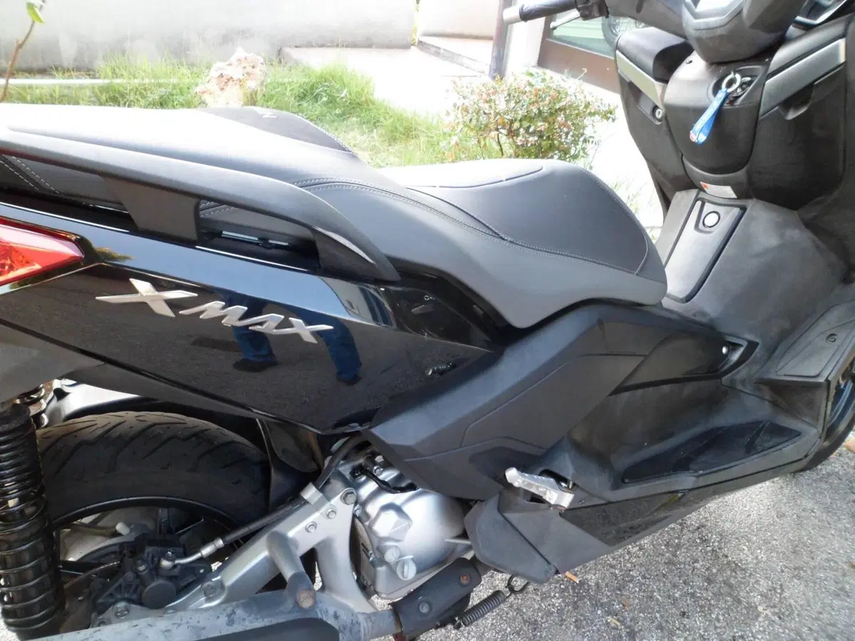 Yamaha X-Max 250 (2014 - 16) (8)
