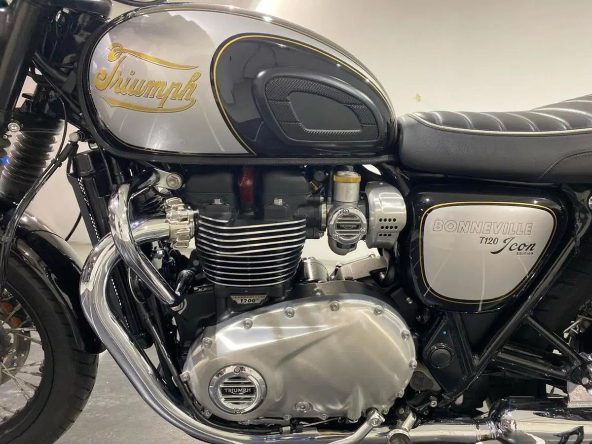 Triumph Bonneville T120 Icon Edition (2025 - 26) (13)