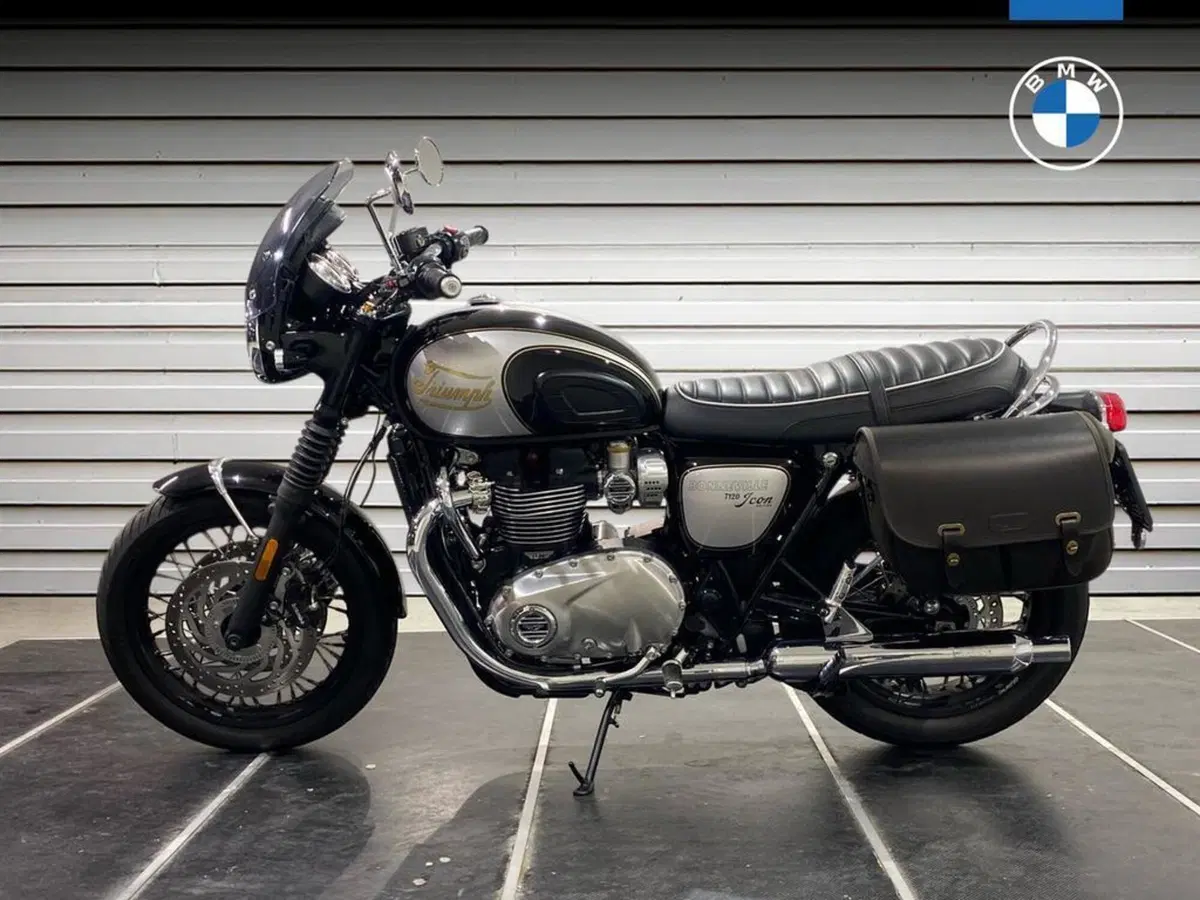 Triumph Bonneville T120 Icon Edition (2025 - 26) (3)
