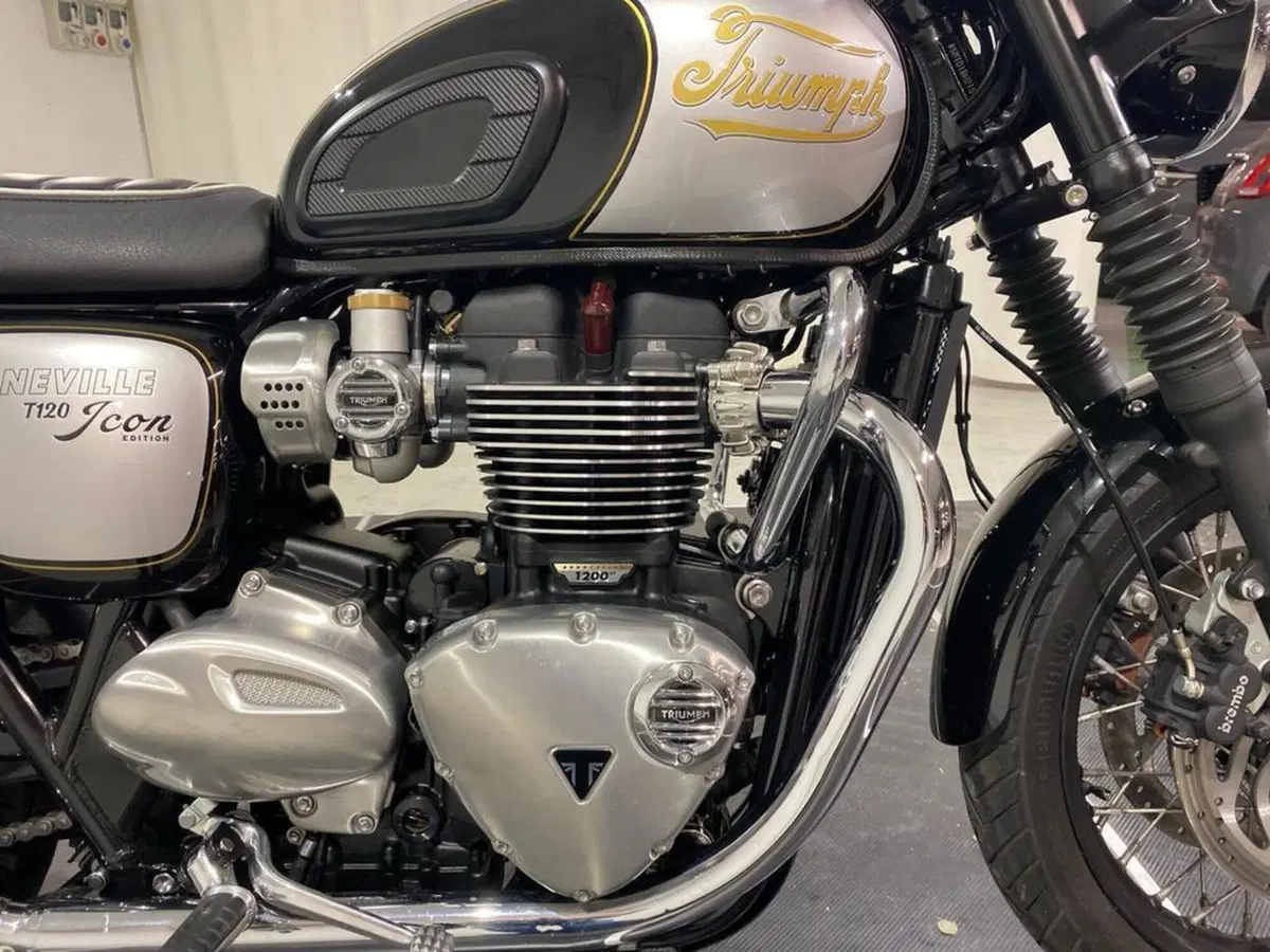 Triumph Bonneville T120 Icon Edition (2025 - 26) (12)