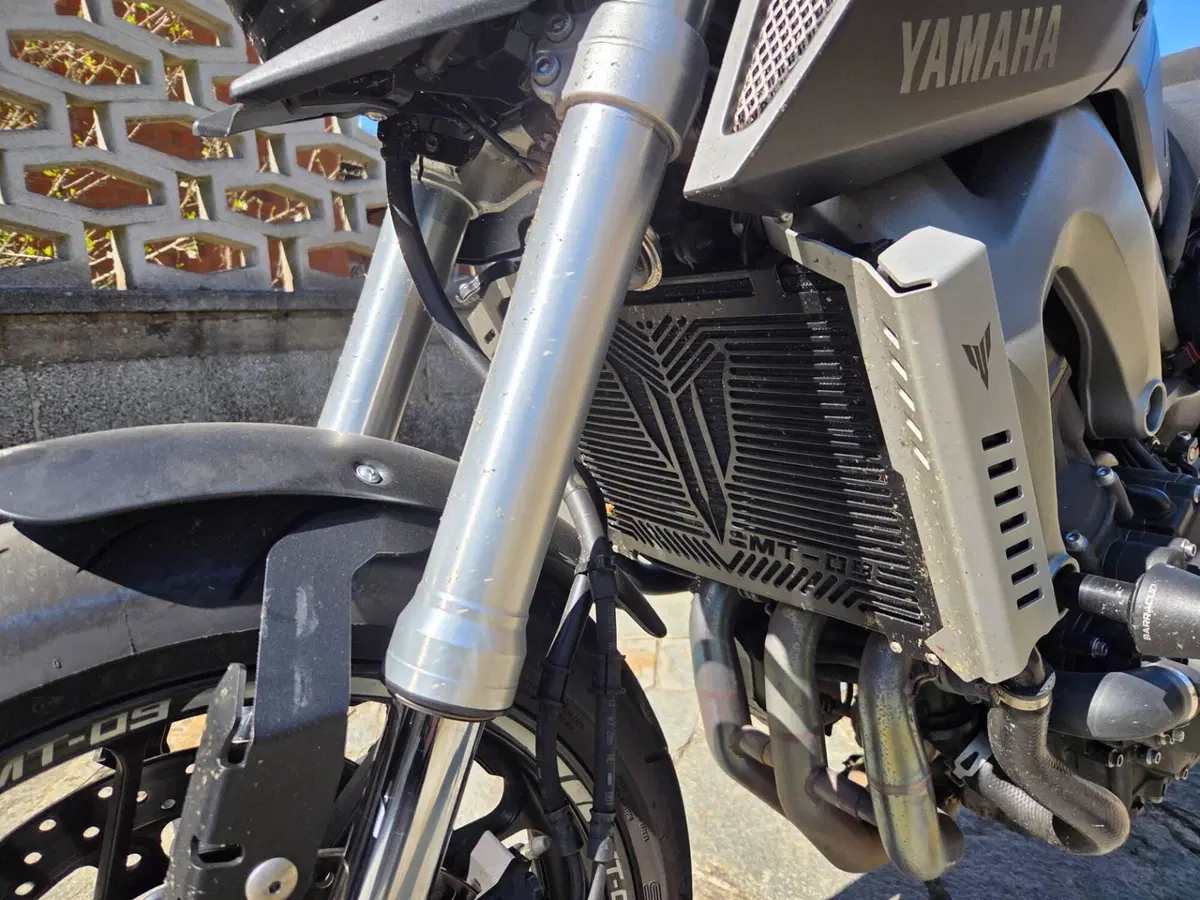 Yamaha MT-09 (2013 - 15) (4)