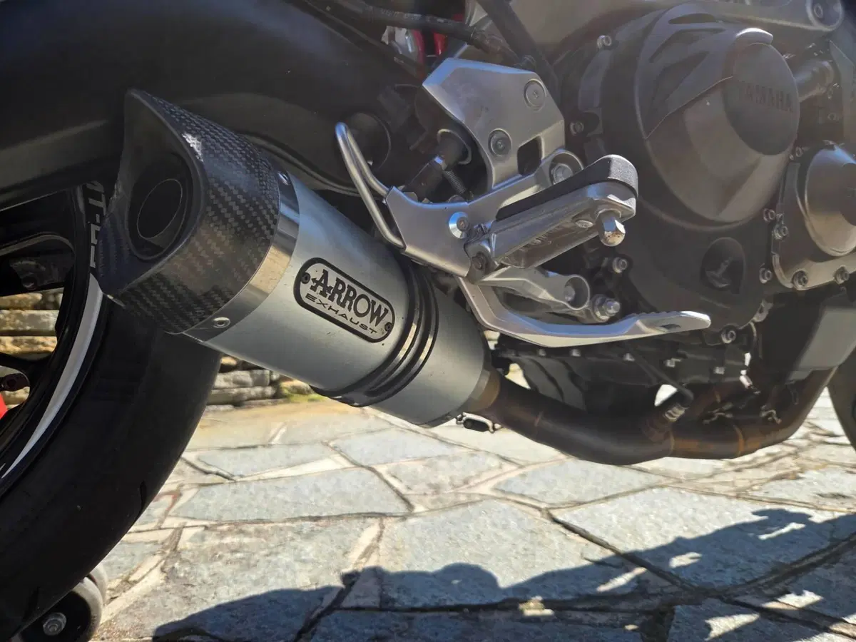 Yamaha MT-09 (2013 - 15) (8)