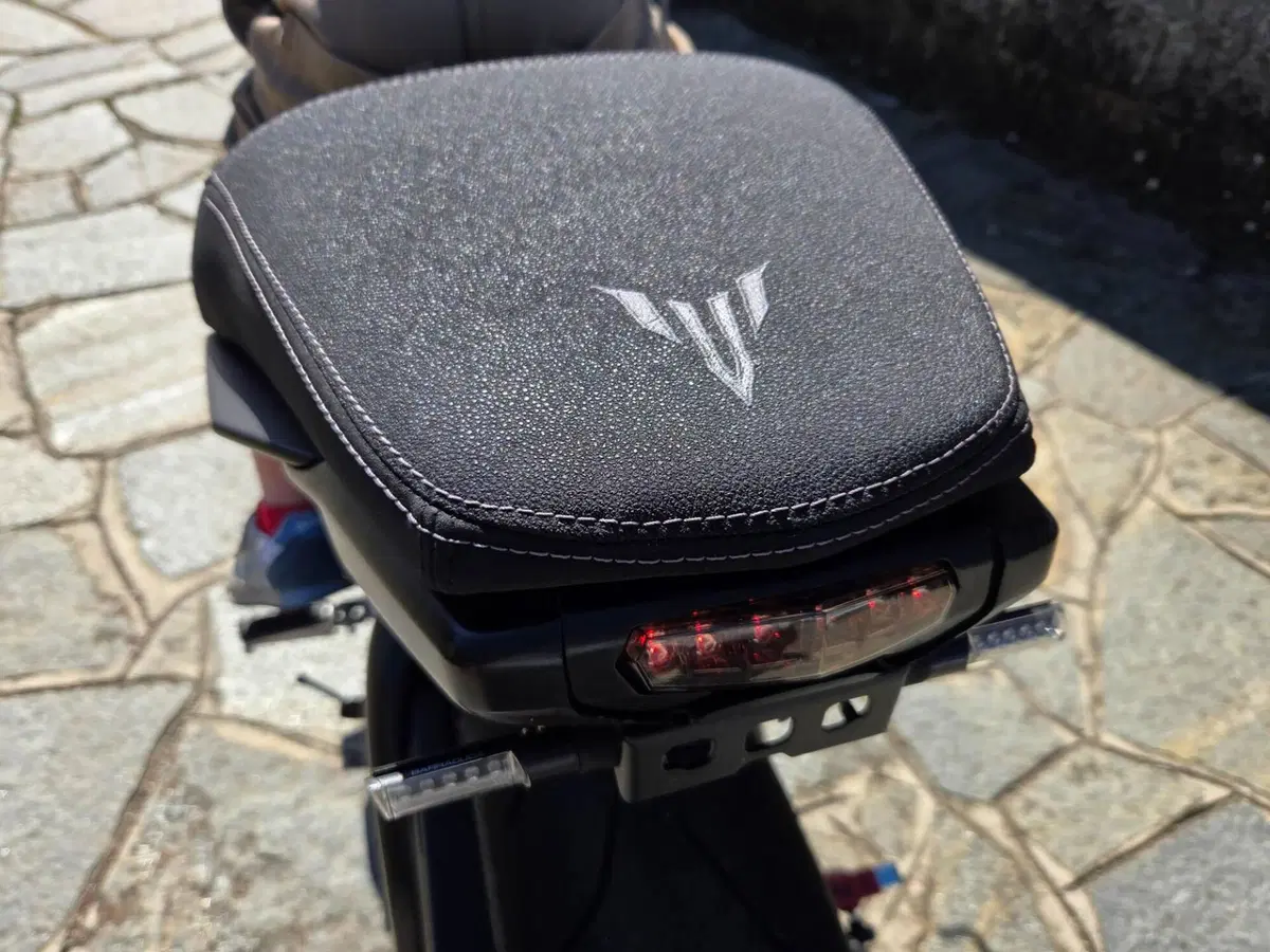 Yamaha MT-09 (2013 - 15) (9)