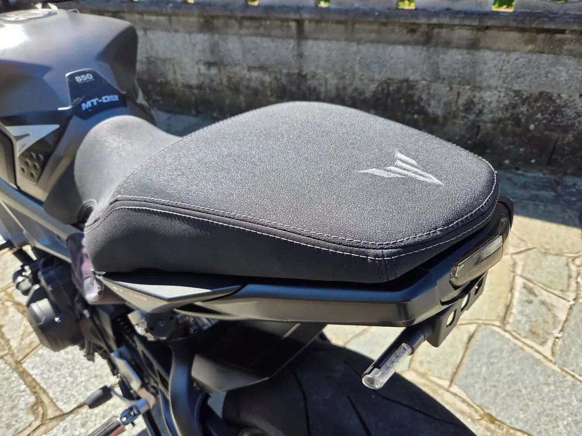 Yamaha MT-09 (2013 - 15) (11)