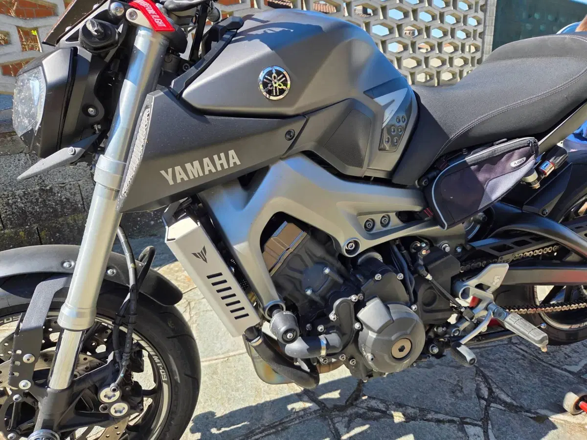 Yamaha MT-09 (2013 - 15) (13)