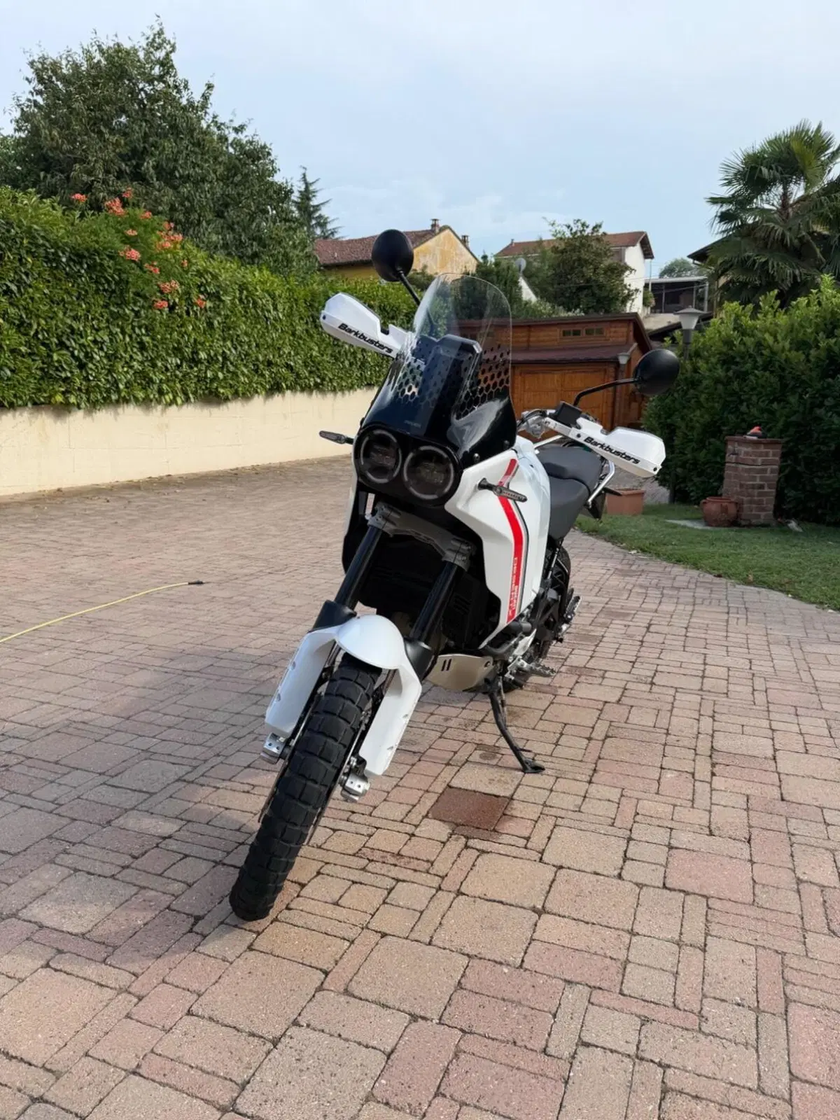Ducati DesertX (2022 - 25) (5)