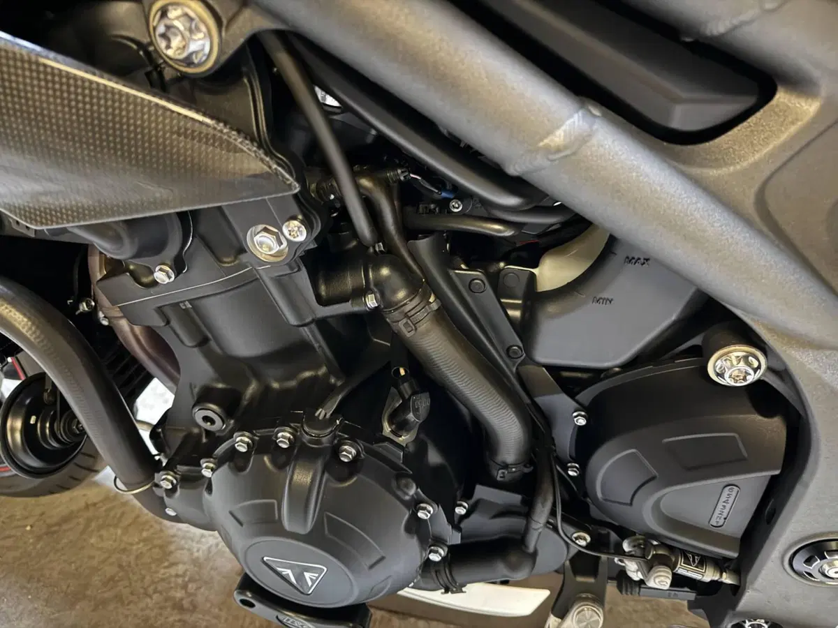 Triumph Speed Triple 1050 RS (2018 - 20) (7)