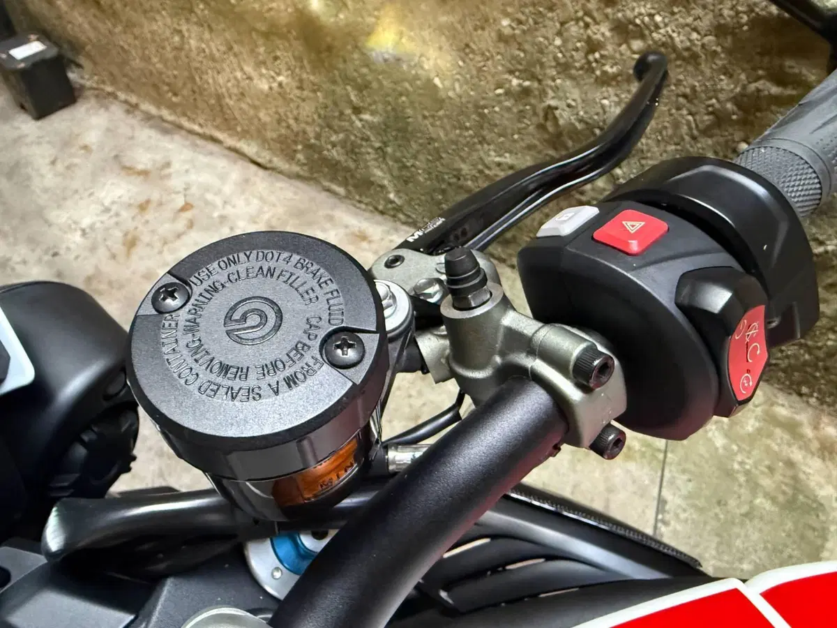 Triumph Speed Triple 1050 RS (2018 - 20) (9)