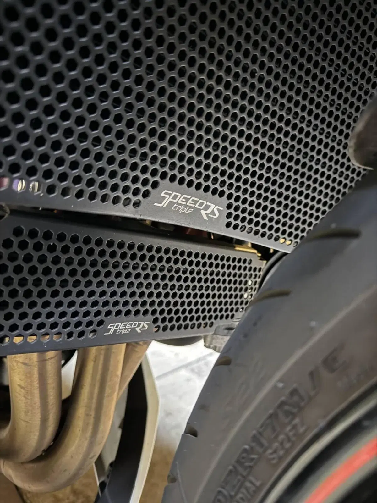 Triumph Speed Triple 1050 RS (2018 - 20) (10)