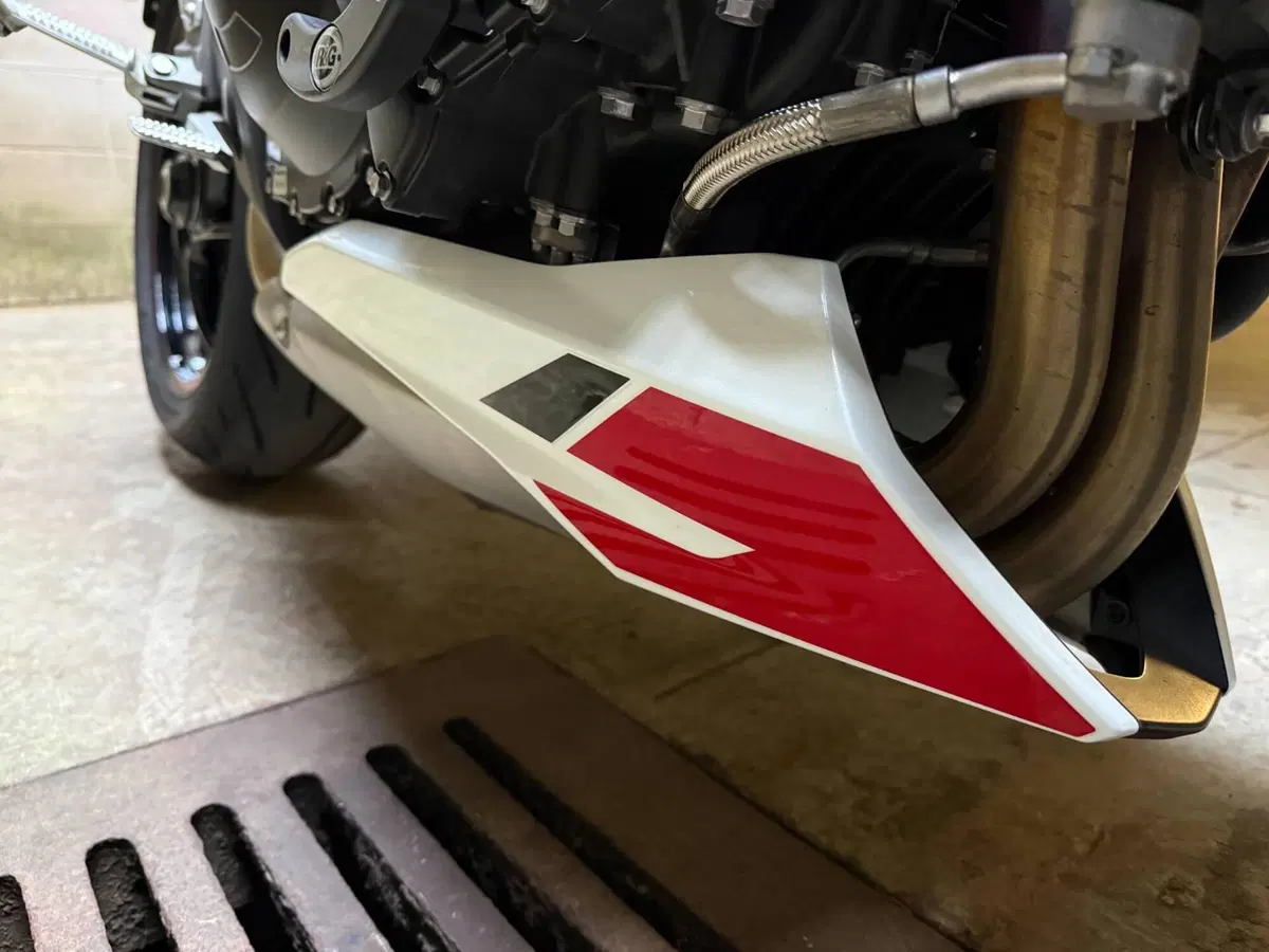 Triumph Speed Triple 1050 RS (2018 - 20) (11)