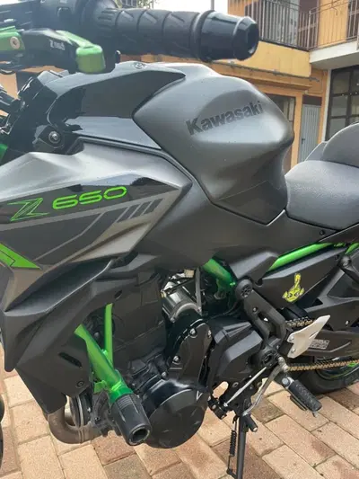 Kawasaki Z 650 (2021 - 24) usata