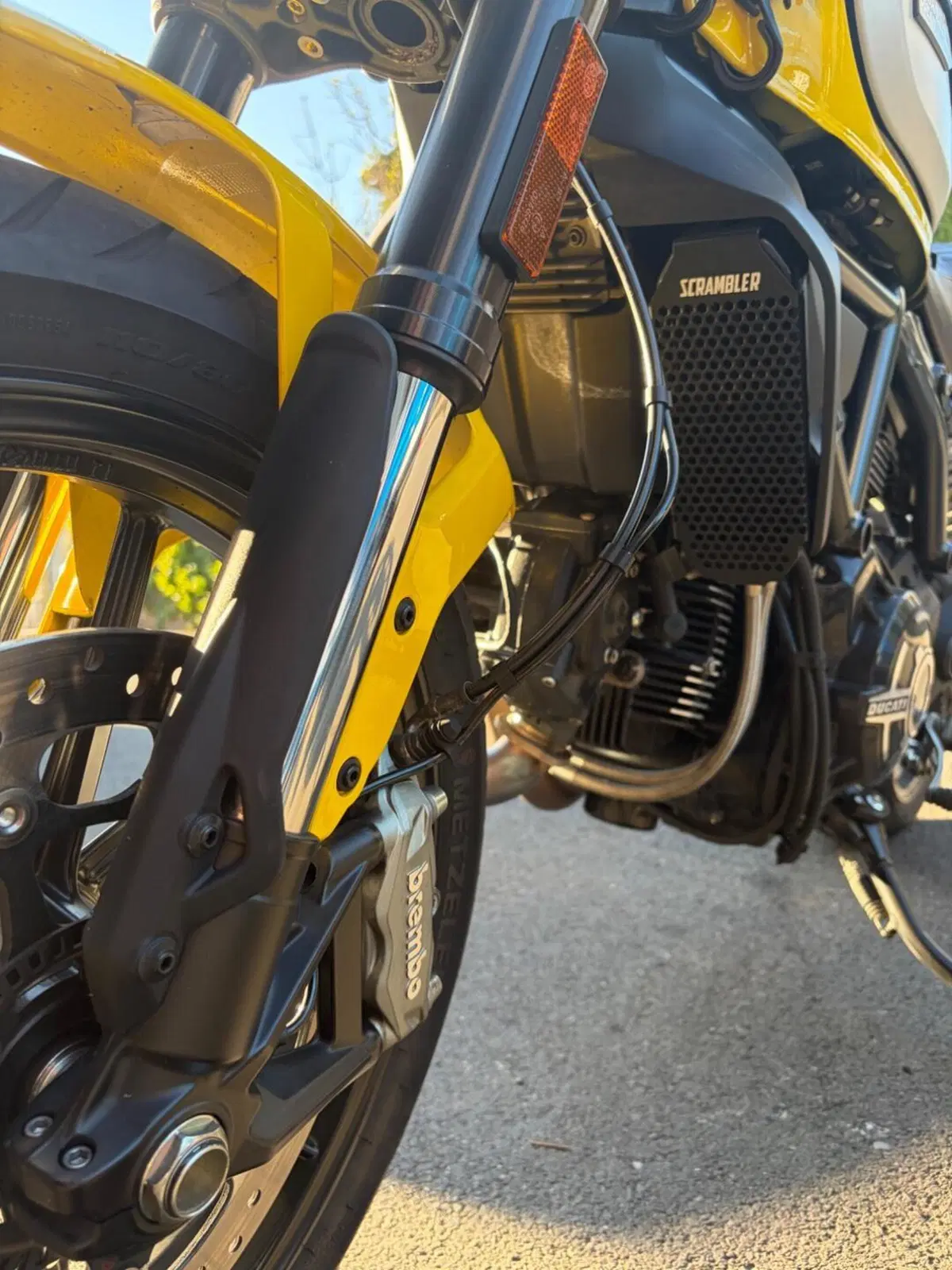 Ducati Scrambler 800 Icon (2021 - 22) (5)