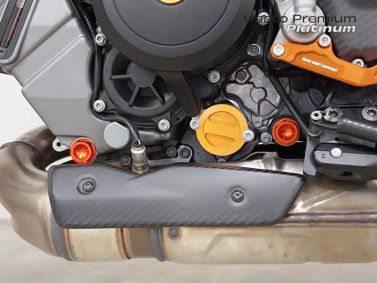 KTM 1390 Super Duke R EVO (2024 - 26) (19)