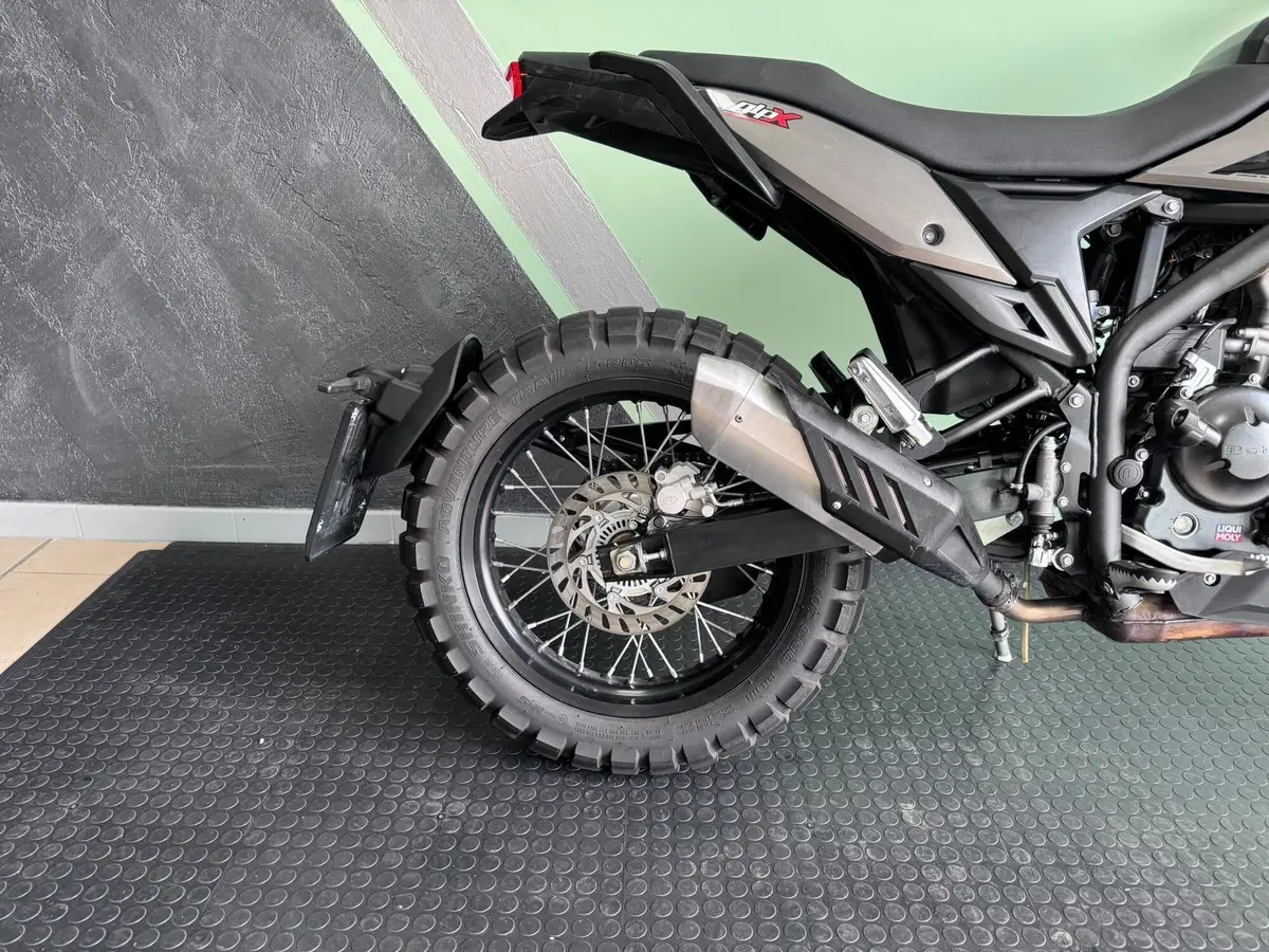 Betamotor Alp X (2024 - 26) (10)