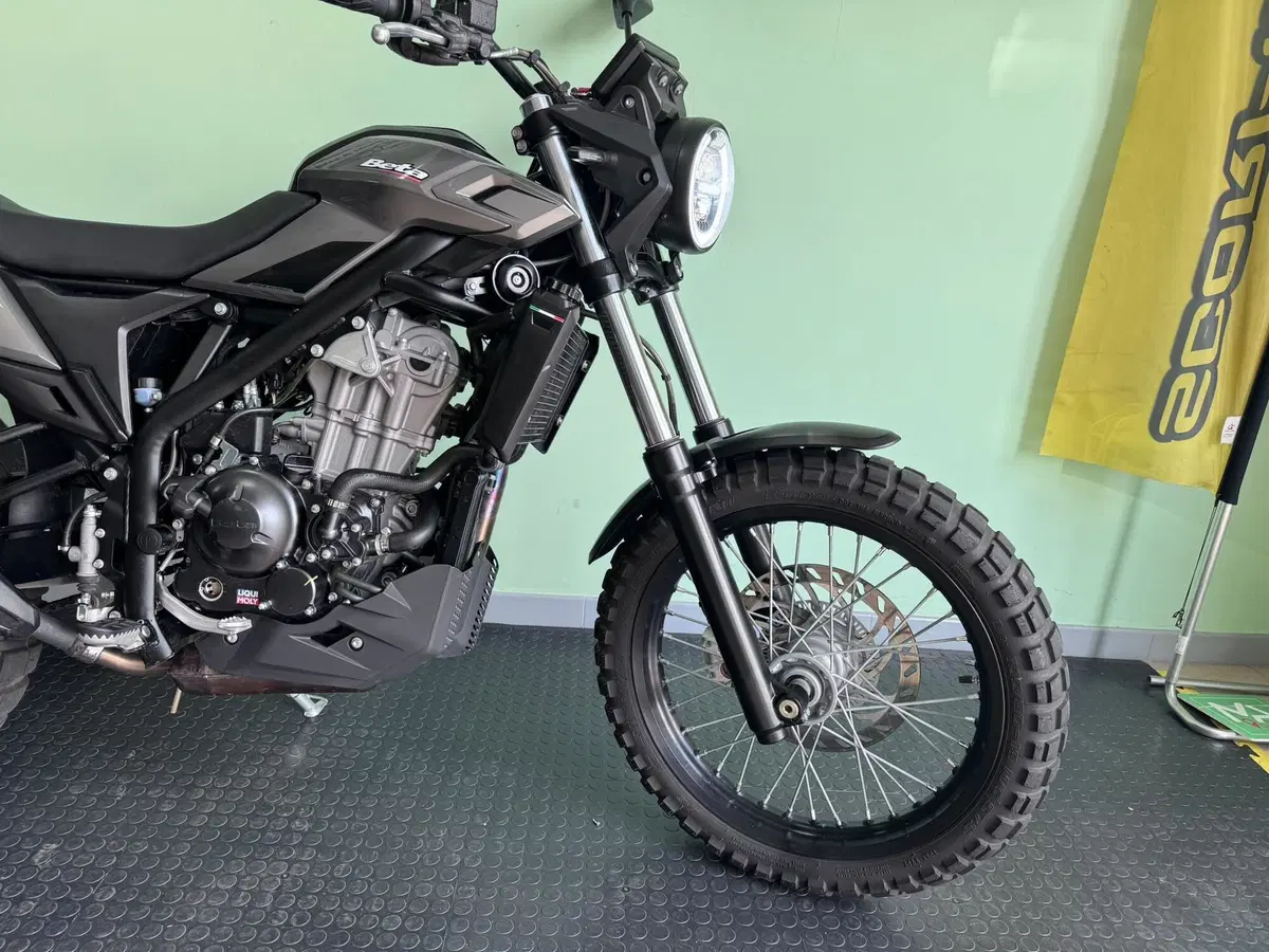 Betamotor Alp X (2024 - 26) (11)