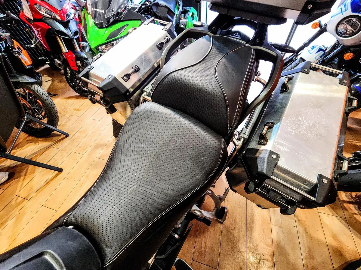 Triumph Tiger 1200 GT Pro (2022 - 23) (18)
