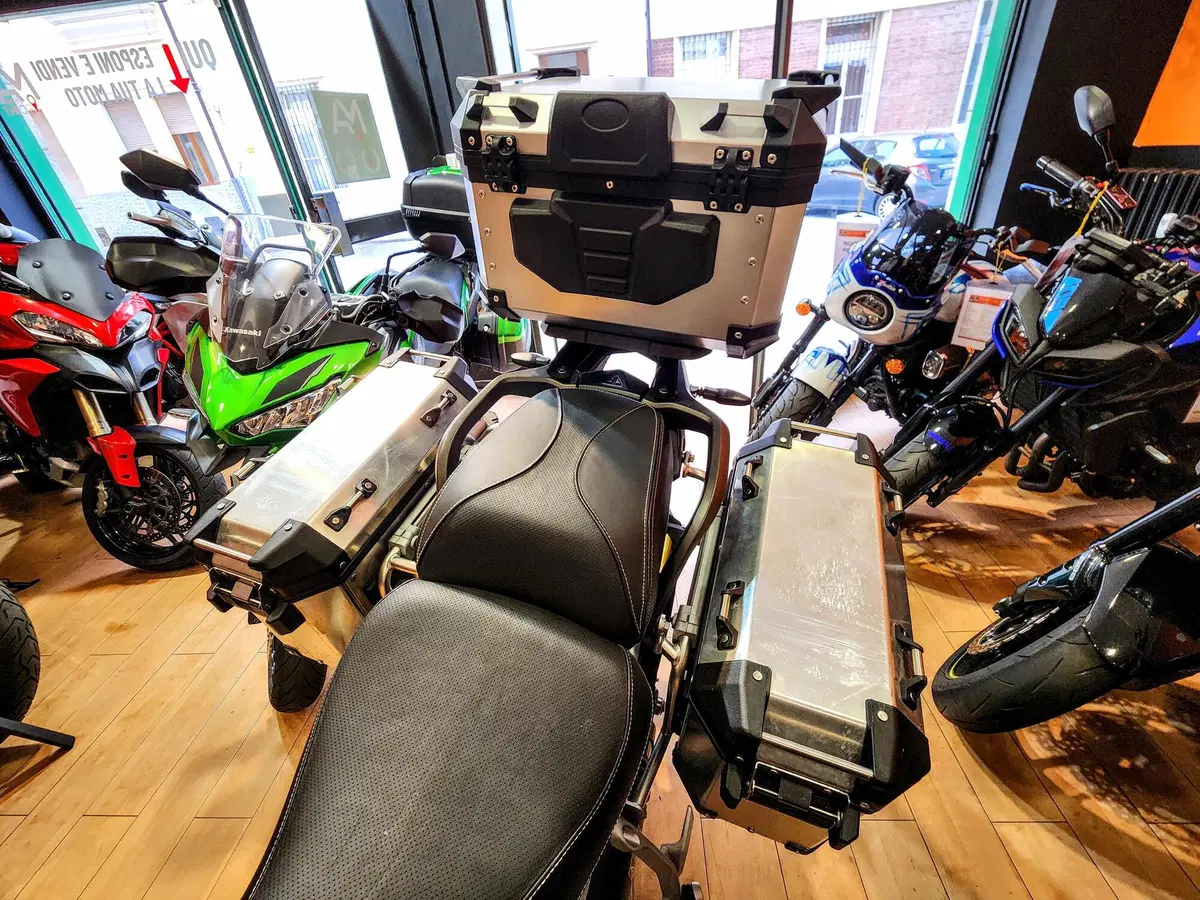 Triumph Tiger 1200 GT Pro (2022 - 23) (19)