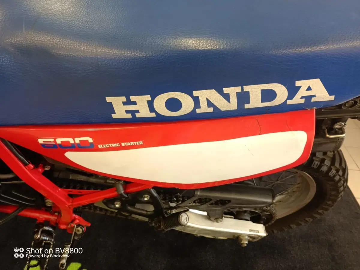 Honda XL 600 (1983 - 89) (8)