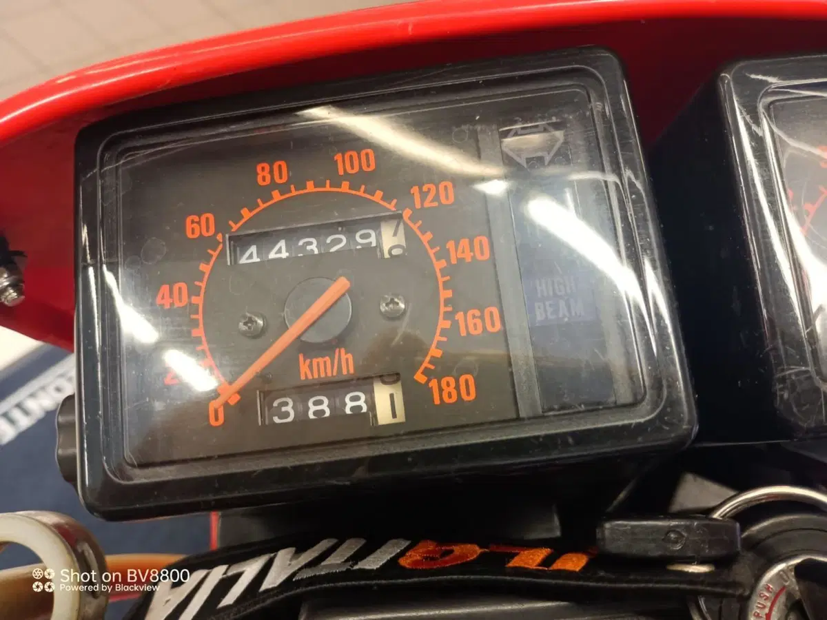 Honda XL 600 (1983 - 89) (9)
