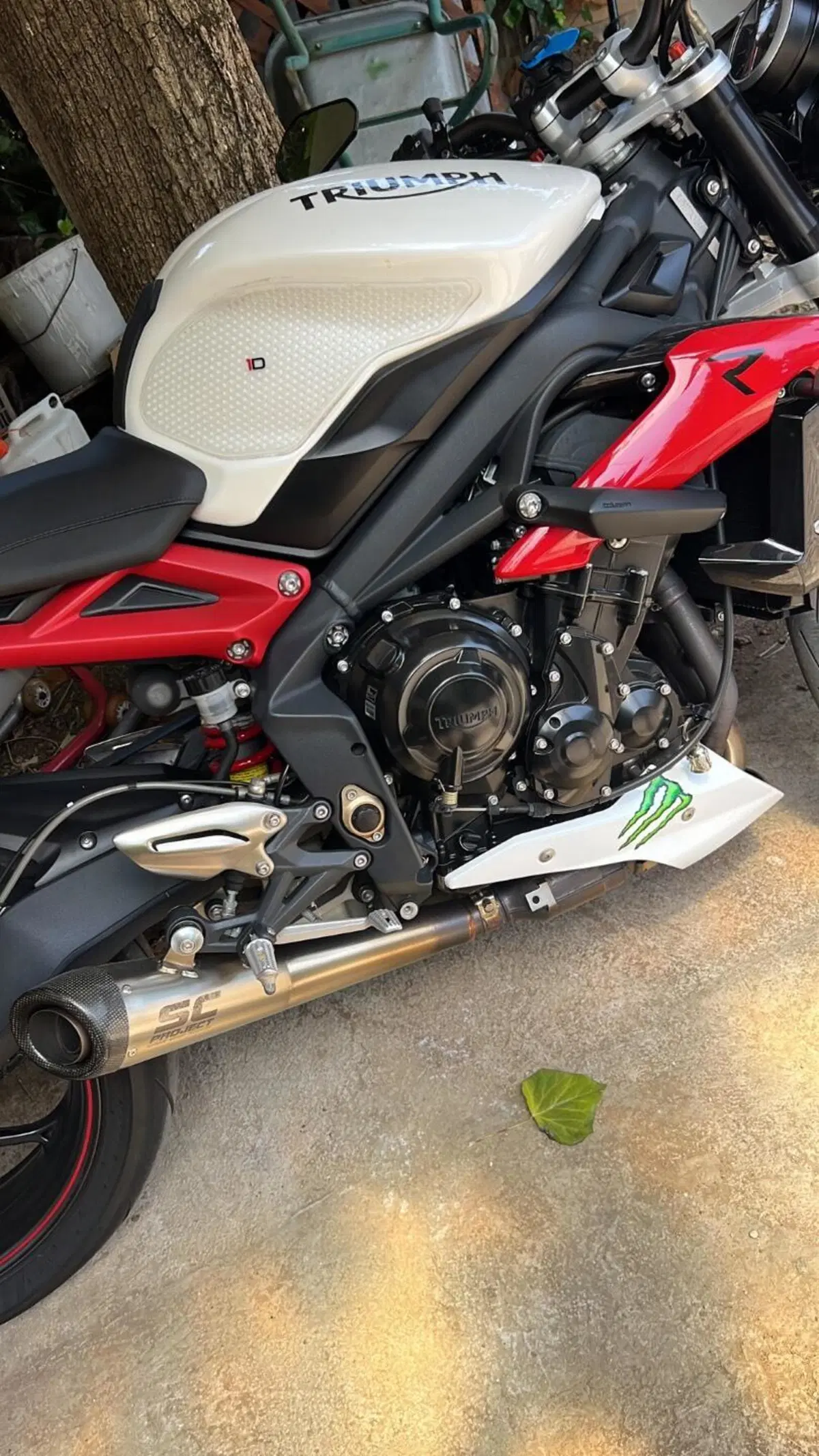 Triumph Street Triple R ABS (2013 - 17) (2)