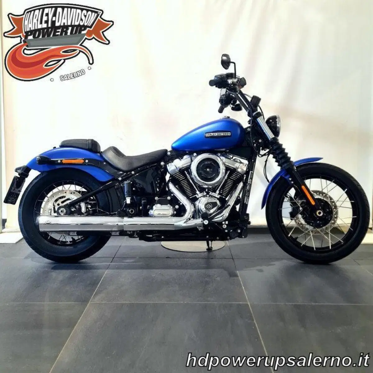 Harley-Davidson Street Bob 117 (2025 - 26) (2)
