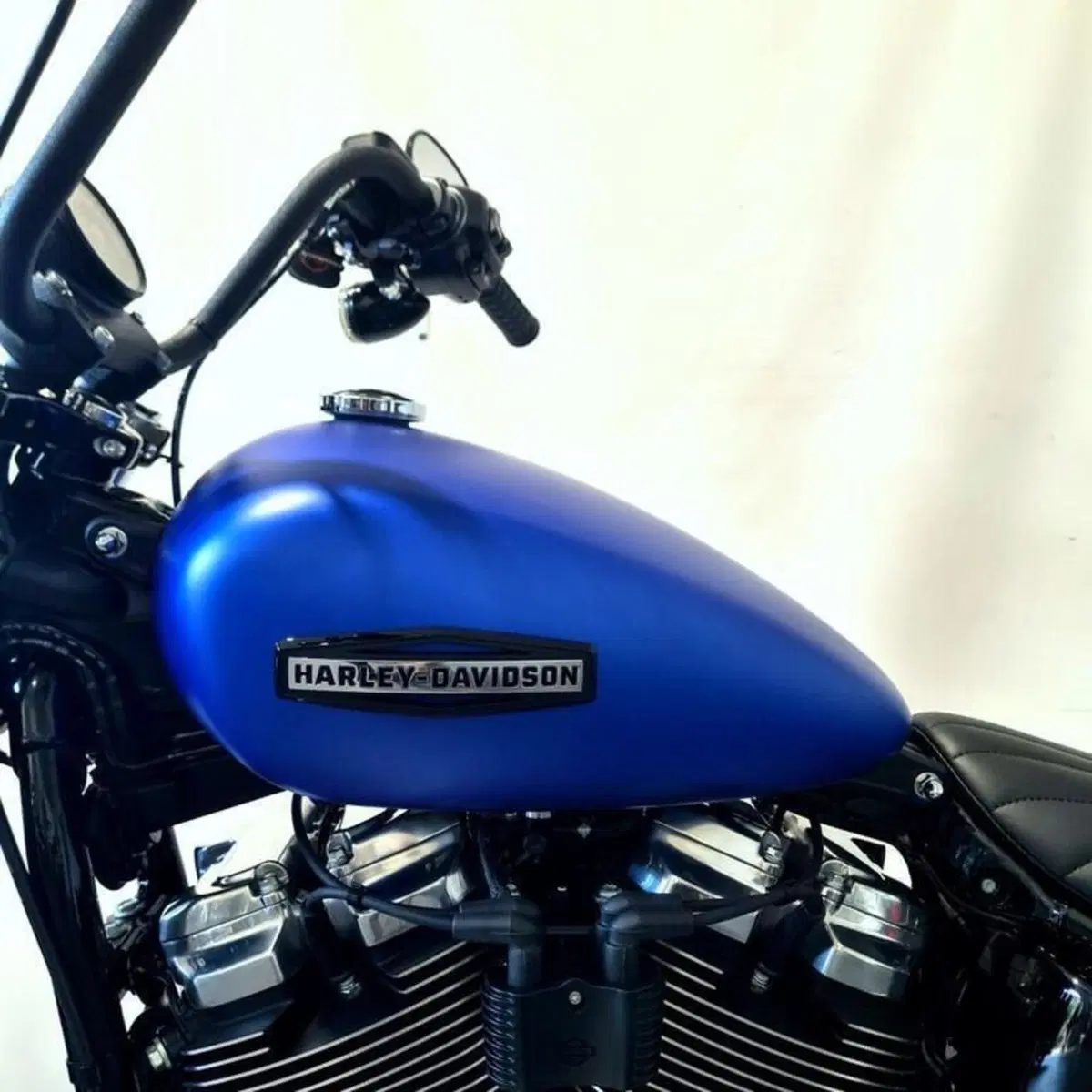 Harley-Davidson Street Bob 117 (2025 - 26) (9)