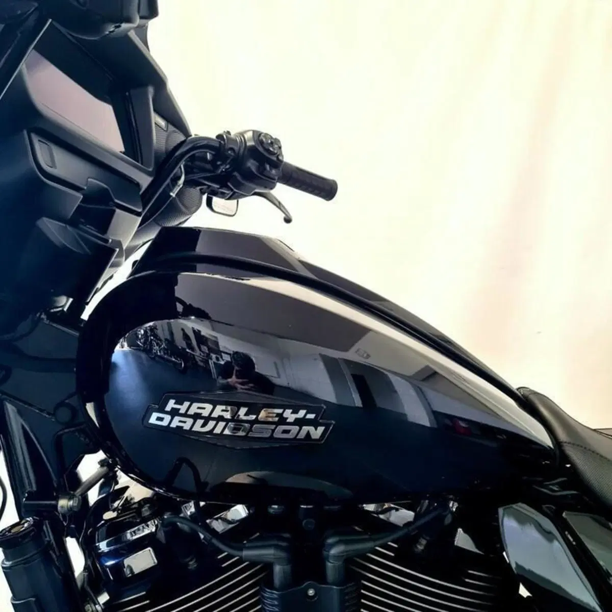 Harley-Davidson 117 Street Glide (2021) - FLHXSE (10)