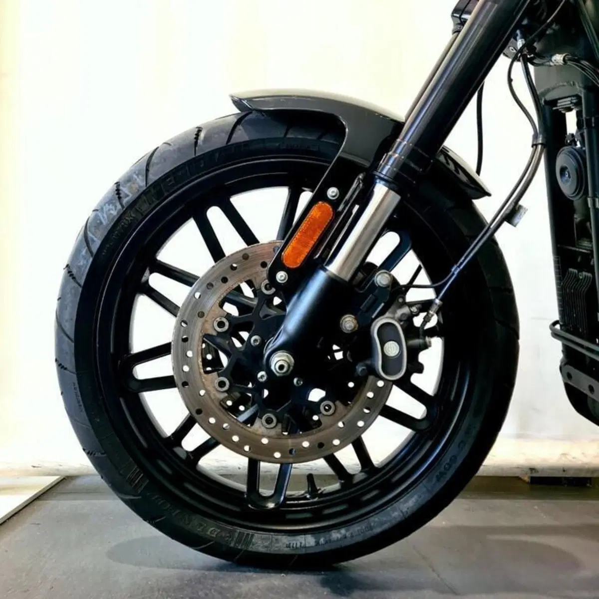 Harley-Davidson 1200 Roadster (2017 - 20) - XL 1200R (8)