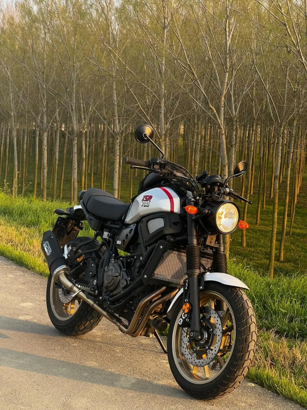 Yamaha XSR 700 XTribute (2022 - 24) (3)