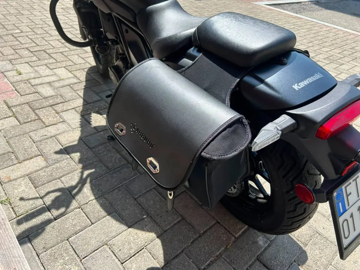 Kawasaki Eliminator 500 SE (2024 - 26) (4)