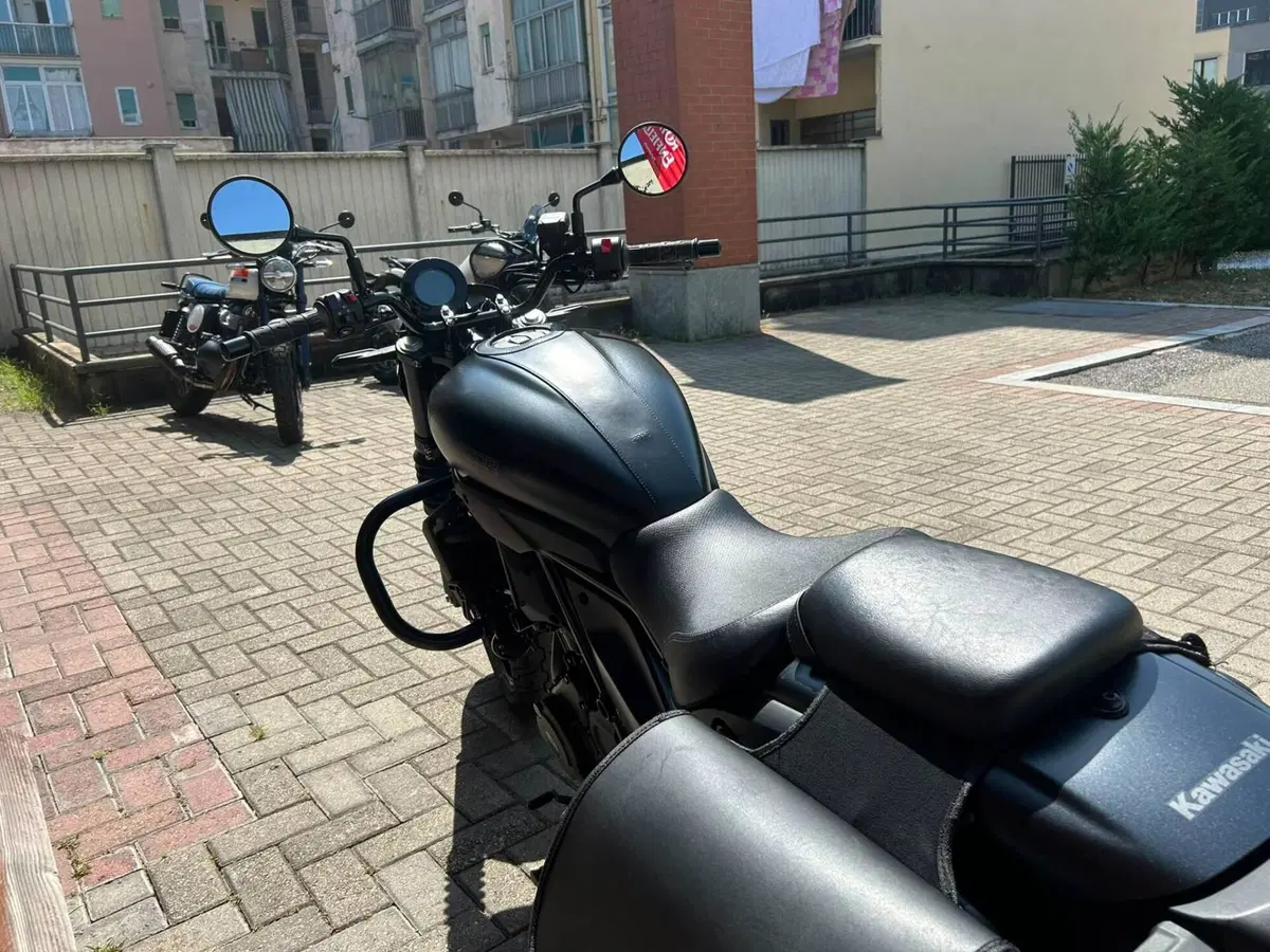Kawasaki Eliminator 500 SE (2024 - 26) (5)