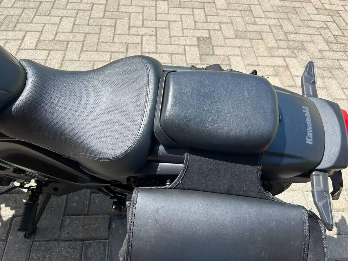 Kawasaki Eliminator 500 SE (2024 - 26) (7)