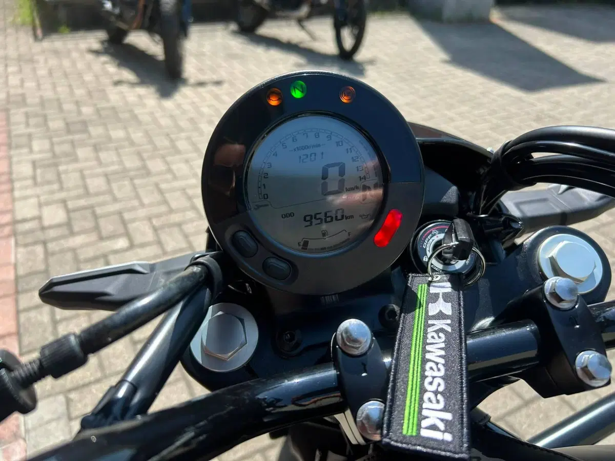 Kawasaki Eliminator 500 SE (2024 - 26) (9)
