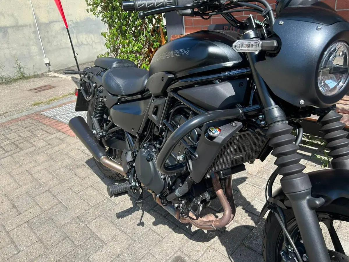 Kawasaki Eliminator 500 SE (2024 - 26) (11)