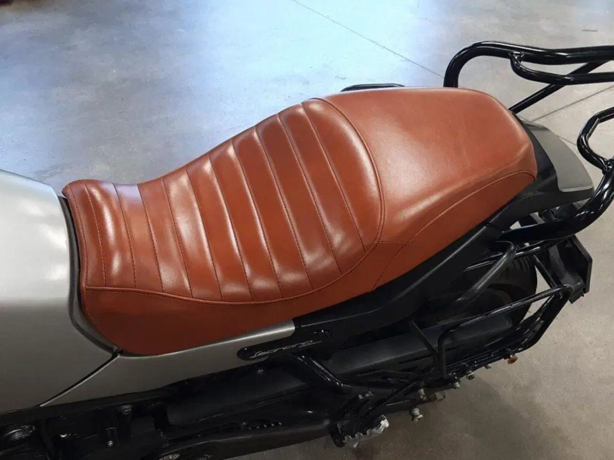 Benelli Leoncino 500 ABS (2017 - 20) (5)