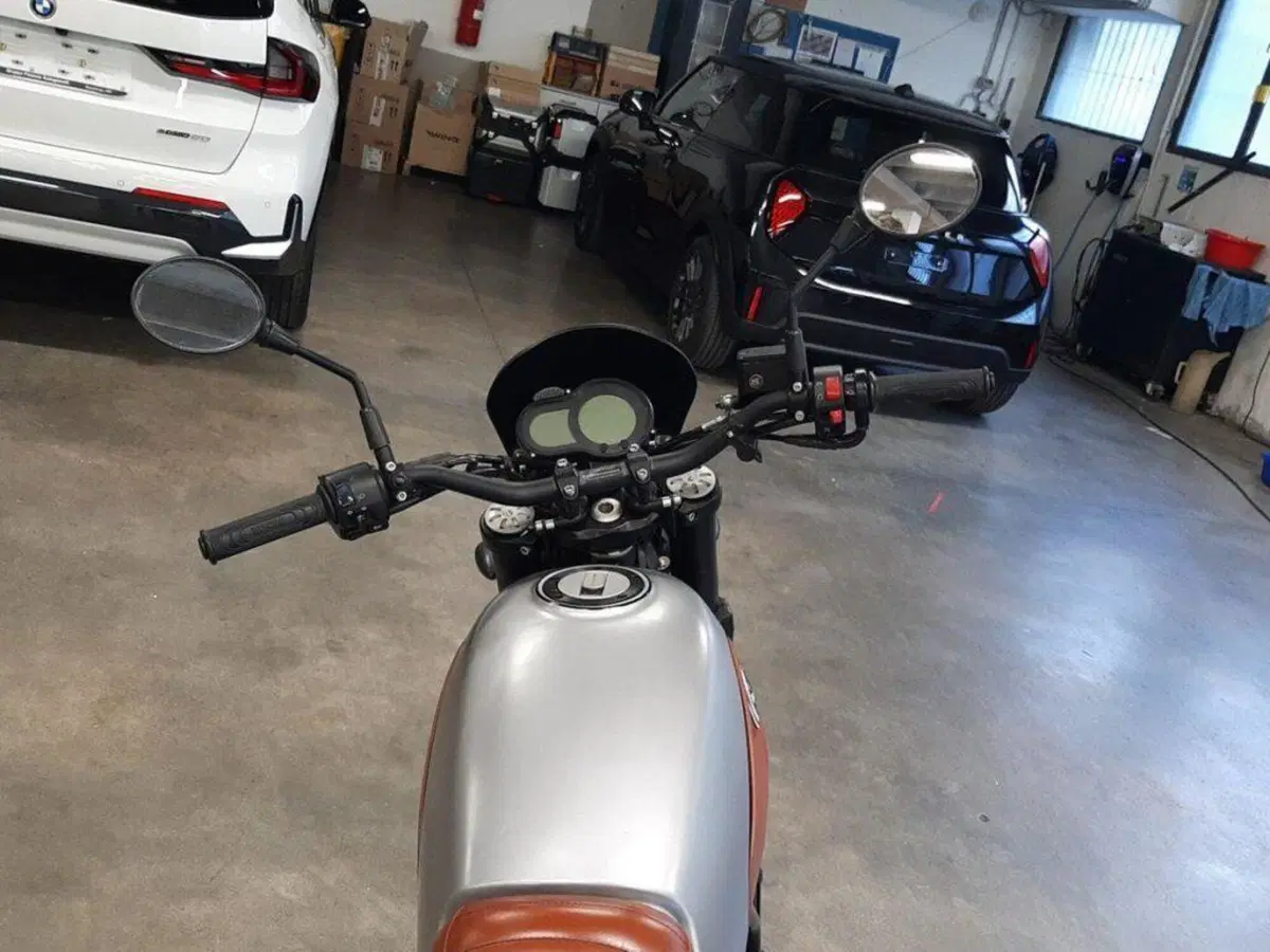 Benelli Leoncino 500 ABS (2017 - 20) (7)